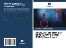 ANGIOARCHITEKTUR DER KORONARIÄT BEI DER ZIEGE (Capra hircus)的封面