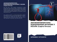 Bookcover of АНГИОАРХИТЕКТУРА КОРОНАРНОЙ АРТЕРИИ У КОЗЛА (Capra hircus)