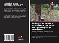 Copertina di Fisiologia del lattice e sfruttamento dell'albero della gomma(Hevea brasiliensis)