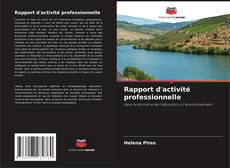 Buchcover von Rapport d'activité professionnelle