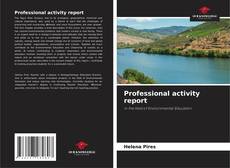 Professional activity report kitap kapağı