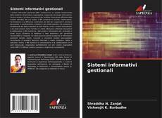 Sistemi informativi gestionali kitap kapağı