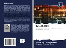 OntoBRIDGE kitap kapağı