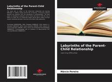 Capa do livro de Labyrinths of the Parent-Child Relationship 