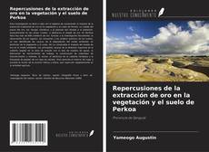 Bookcover of Repercusiones de la extracción de oro en la vegetación y el suelo de Perkoa