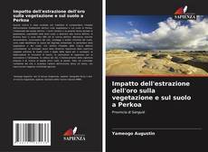 Bookcover of Impatto dell'estrazione dell'oro sulla vegetazione e sul suolo a Perkoa