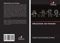 Educazione non formale kitap kapağı