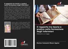 Bookcover of Il rapporto tra teoria e pratica nella formazione degli infermieri