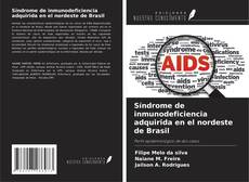 Обложка Síndrome de inmunodeficiencia adquirida en el nordeste de Brasil