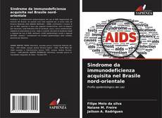 Bookcover of Sindrome da immunodeficienza acquisita nel Brasile nord-orientale