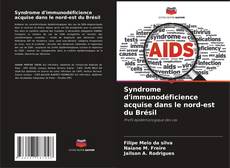 Bookcover of Syndrome d'immunodéficience acquise dans le nord-est du Brésil