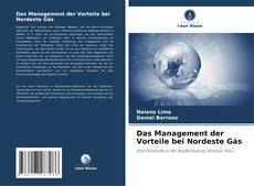 Bookcover of Das Management der Vorteile bei Nordeste Gás