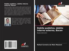 Bookcover of Debito pubblico, debito interno esterno, Bacen