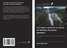 Buchcover von A lo largo y ancho de la cuenca de Shillong: Panorama geológico