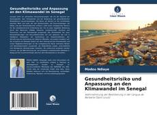 Buchcover von Gesundheitsrisiko und Anpassung an den Klimawandel im Senegal