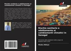 Rischio sanitario e adattamento ai cambiamenti climatici in Senegal kitap kapağı
