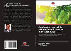 Buchcover von Application au sol de paclobutrazol dans le manguier Kesar