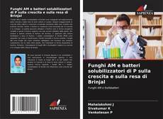 Buchcover von Funghi AM e batteri solubilizzatori di P sulla crescita e sulla resa di Brinjal