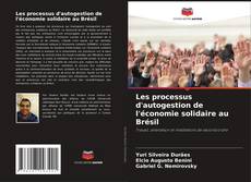 Couverture de Les processus d'autogestion de l'économie solidaire au Brésil