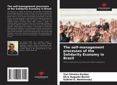 Bookcover of The self-management processes of the Solidarity Economy in Brazil