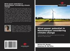 Wind power potential in Mozambique considering climate change kitap kapağı