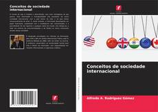 Bookcover of Conceitos de sociedade internacional