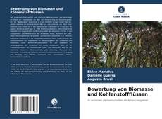 Borítókép a  Bewertung von Biomasse und Kohlenstoffflüssen - hoz