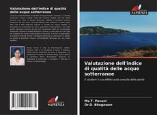 Bookcover of Valutazione dell'indice di qualità delle acque sotterranee