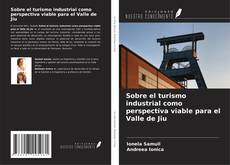 Bookcover of Sobre el turismo industrial como perspectiva viable para el Valle de Jiu