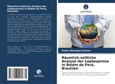 Copertina di Räumlich-zeitliche Analyse der Leptospirose in Belém do Pará, Brasilien