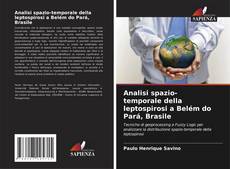 Capa do livro de Analisi spazio-temporale della leptospirosi a Belém do Pará, Brasile 