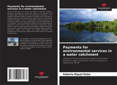 Buchcover von Payments for environmental services in a water catchment