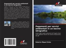 Bookcover of Pagamenti per servizi ambientali in un bacino idrografico