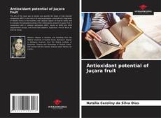 Buchcover von Antioxidant potential of Juçara fruit
