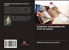 Bookcover of Potentiel antioxydant du fruit de Juçara