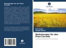 Bookcover of Bedrohungen für den Piauí Cerrado
