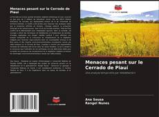 Buchcover von Menaces pesant sur le Cerrado de Piauí