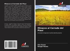 Minacce al Cerrado del Piauí kitap kapağı