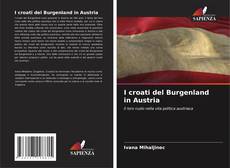 I croati del Burgenland in Austria kitap kapağı