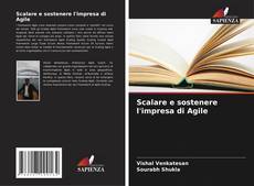Bookcover of Scalare e sostenere l'impresa di Agile