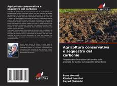 Agricoltura conservativa e sequestro del carbonio kitap kapağı