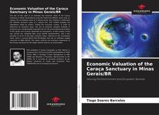 Capa do livro de Economic Valuation of the Caraça Sanctuary in Minas Gerais/BR 