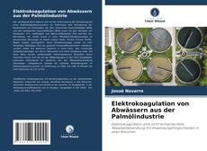 Обложка Elektrokoagulation von Abwässern aus der Palmölindustrie