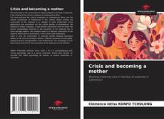 Crisis and becoming a mother kitap kapağı