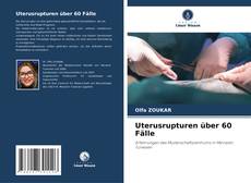 Buchcover von Uterusrupturen über 60 Fälle
