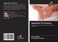 Buchcover von Appendici di torsione :