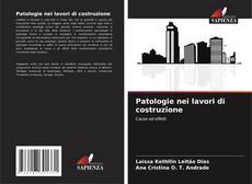 Bookcover of Patologie nei lavori di costruzione