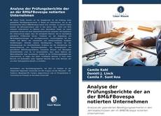 Buchcover von Analyse der Prüfungsberichte der an der BM&FBovespa notierten Unternehmen