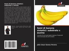 Portada del libro de Semi di banana sintetici: substrato x auxina