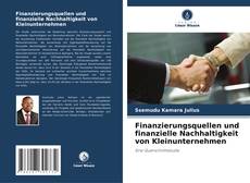 Couverture de Finanzierungsquellen und finanzielle Nachhaltigkeit von Kleinunternehmen